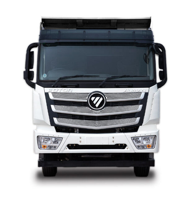 Foton AUMAN EST 6X4 DUMPER TRUCK - 图片 3