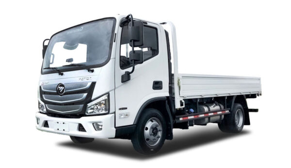 Foton Aumark S BJ1088