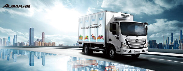 Foton Refrigerated Truck - 图片 2