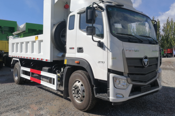 Foton 10T DUMP TRUCK