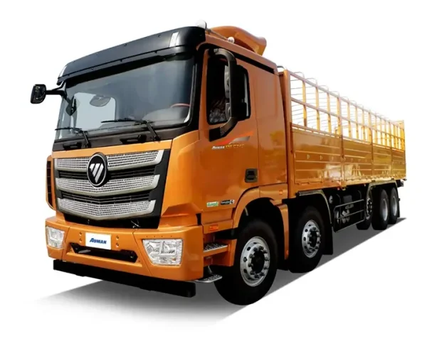 Foton-Auman-Fence-Cargo