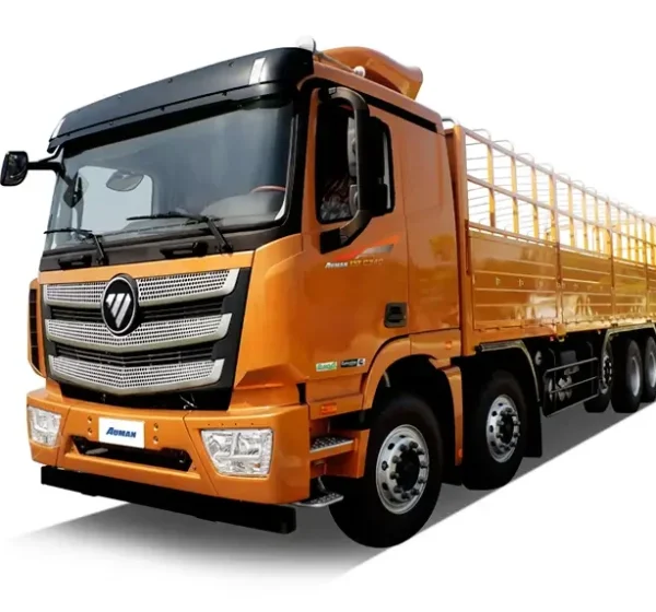 Foton-Auman-Fence-Cargo