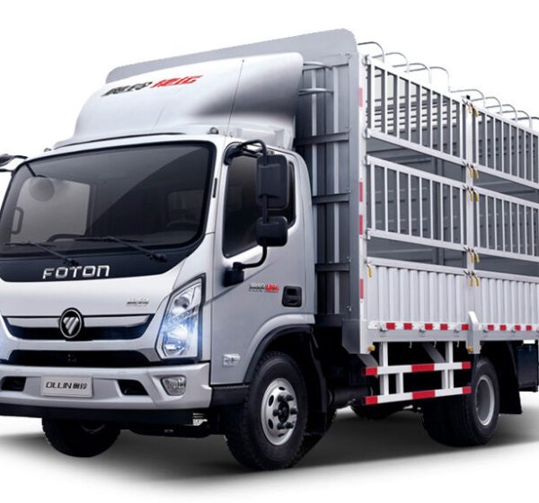 Foton-Aumark-E-Warehouse