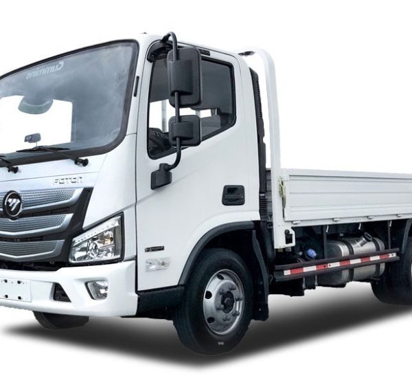 Foton-Aumark-S-BJ1088-1