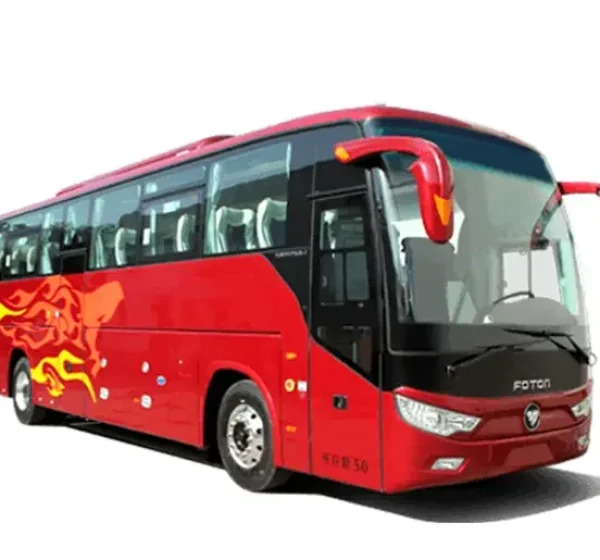 foton-bus-china-2