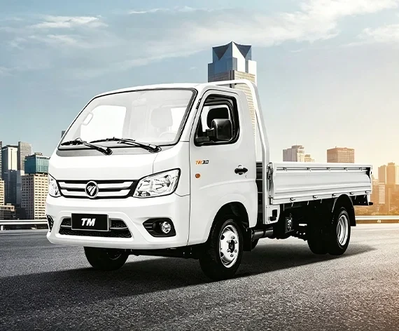 foton-mini-truck
